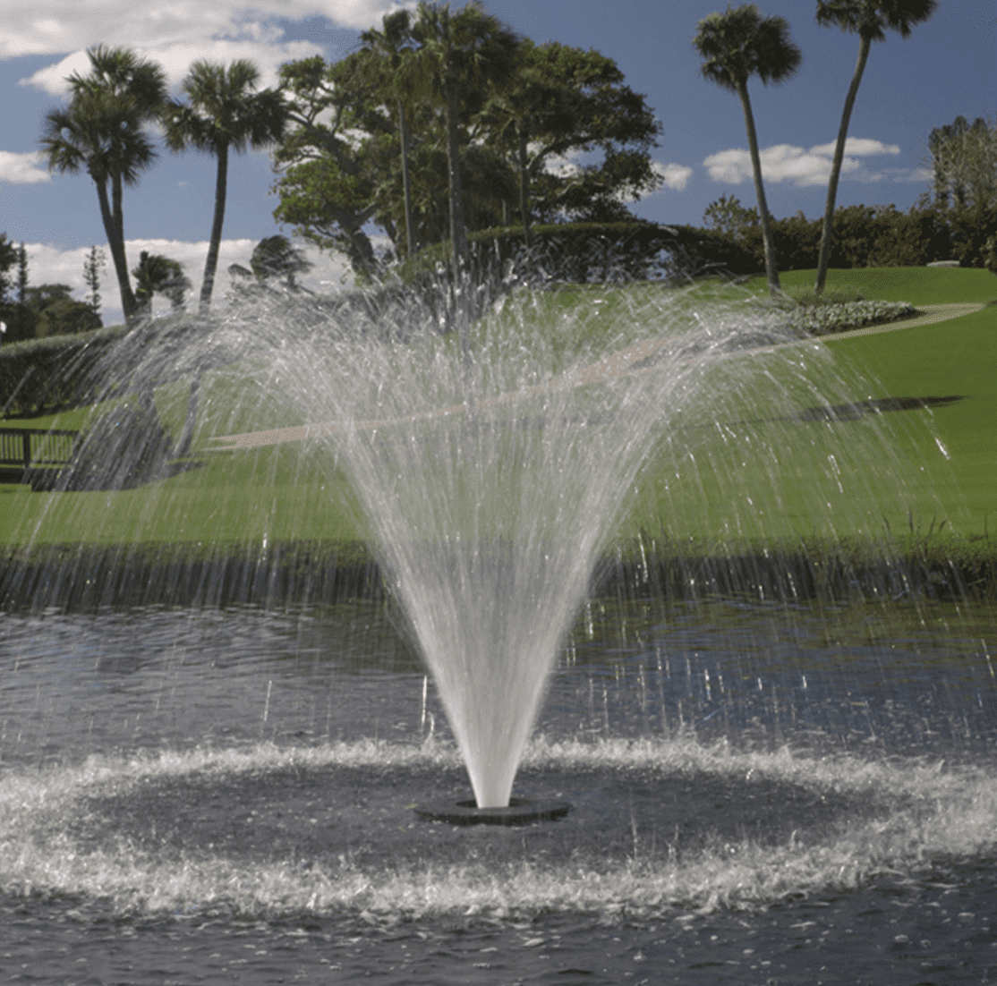 Aqua Control: 1/2HP Floating Evolution Aerating Fountain