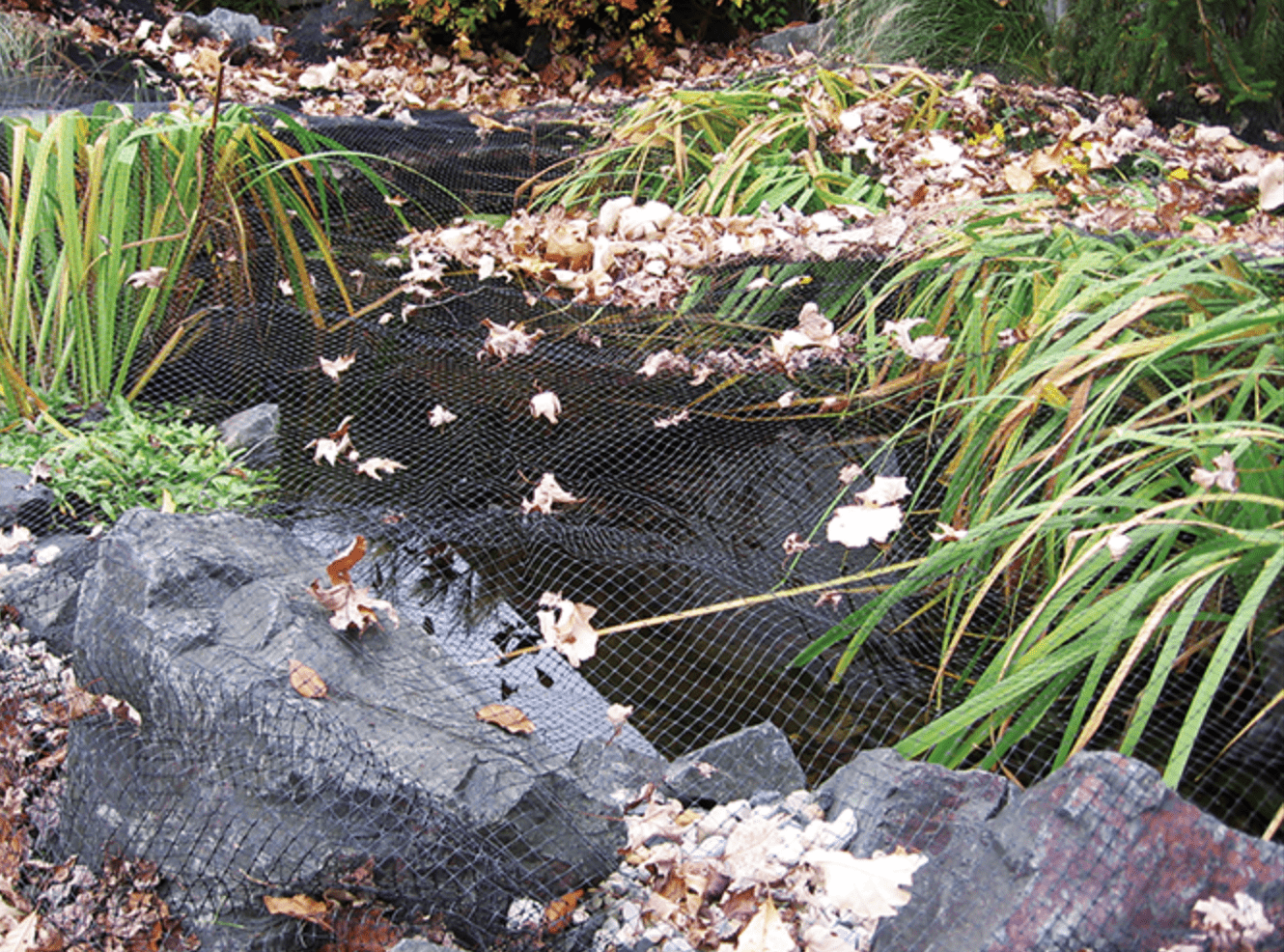 EasyPro:  Pond Cover Netting