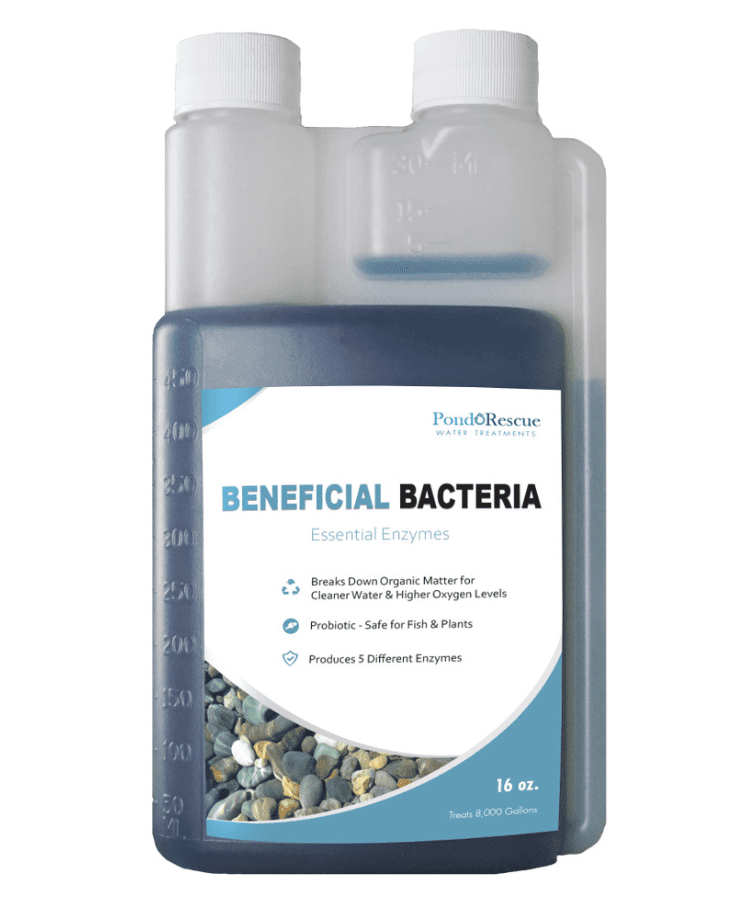 Anjon: Pond Rescue Beneficial Bacteria