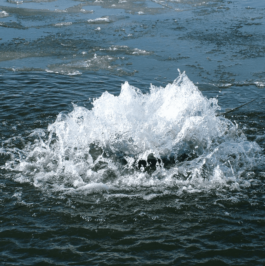 Aqua Control: 1/2HP Floating Evolution Aerating Fountain